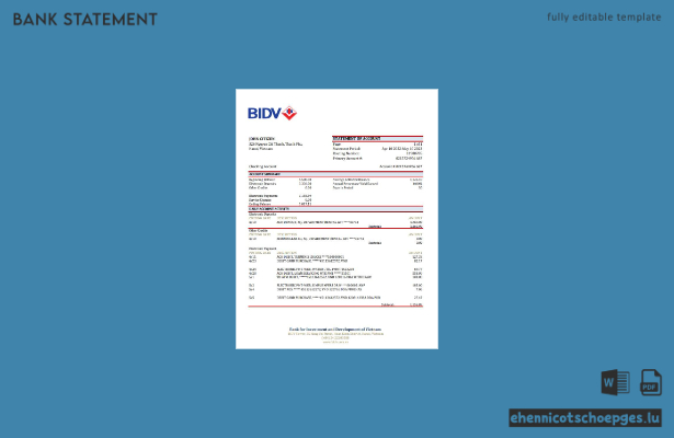Beispiel für einen Kontoauszug der vietnamesischen BIDV (Vietnam BIDV) in Excel (Vorschau)